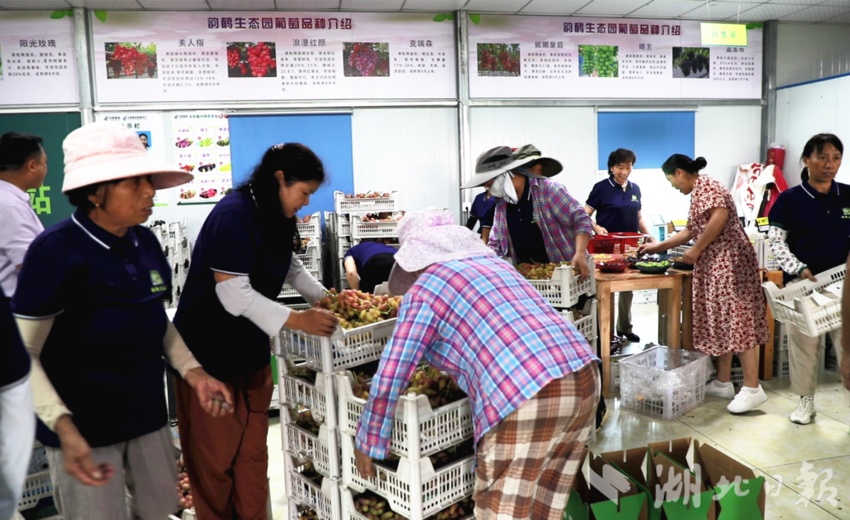 巴适游戏下载